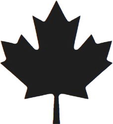 Eco-friendly brick made with sustainable materials